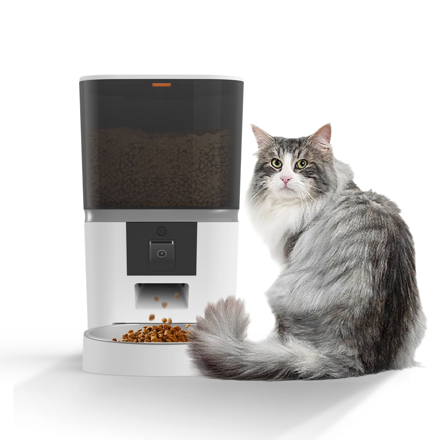Distributeur automatique intelligent pour animaux de compagnie avec caméra (capacité de 6 L)