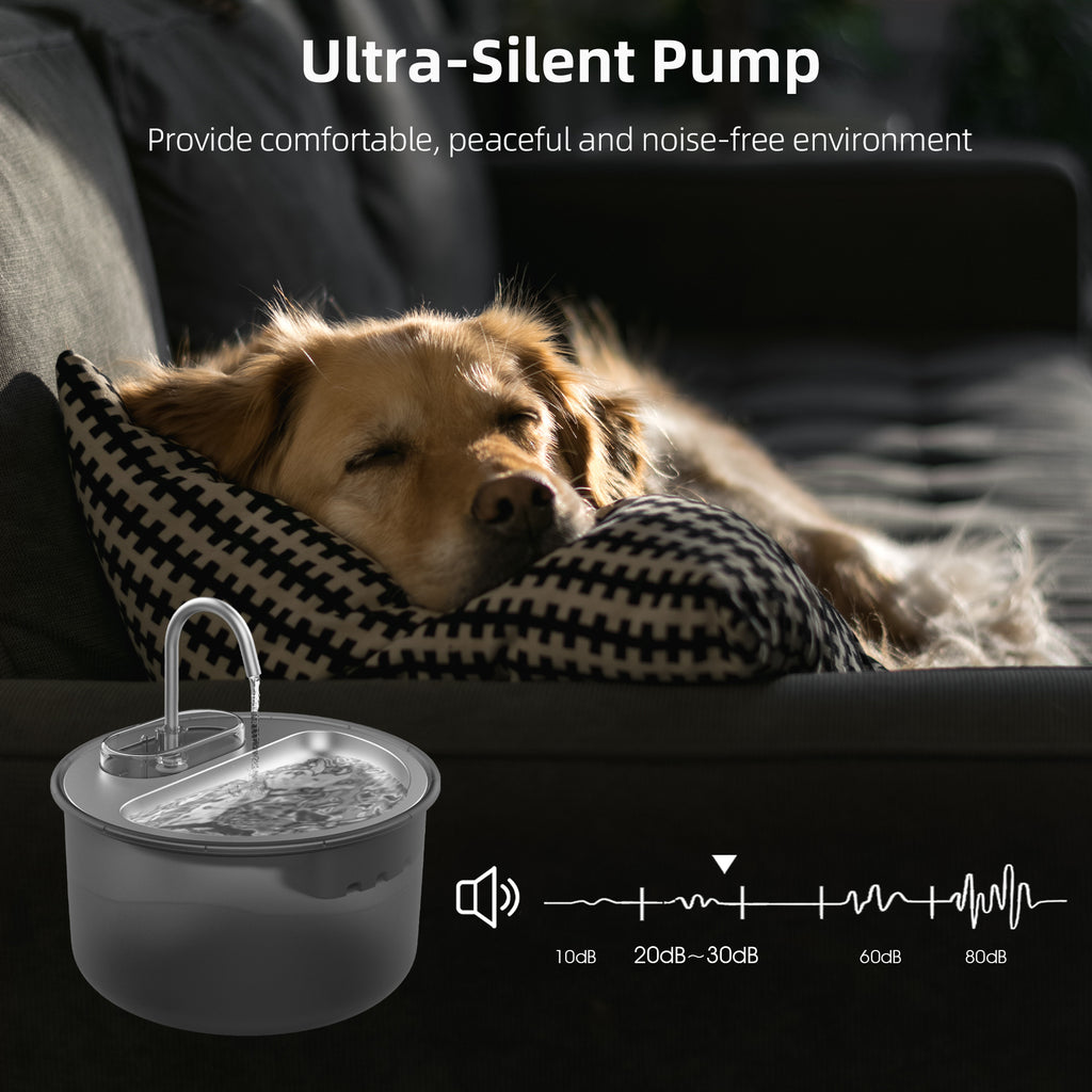 Dog resting on a couch with an ultra-silent pump in the foreground, indicating a peaceful environment.