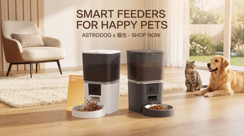 Smart Combo of Automatic Pet Feeder and Drinker